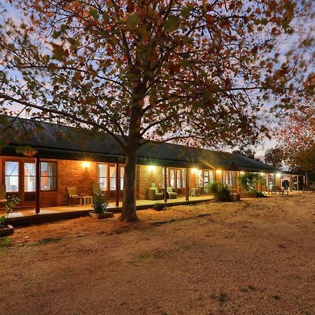The Vineyard Motel Cowra Exteriér fotografie