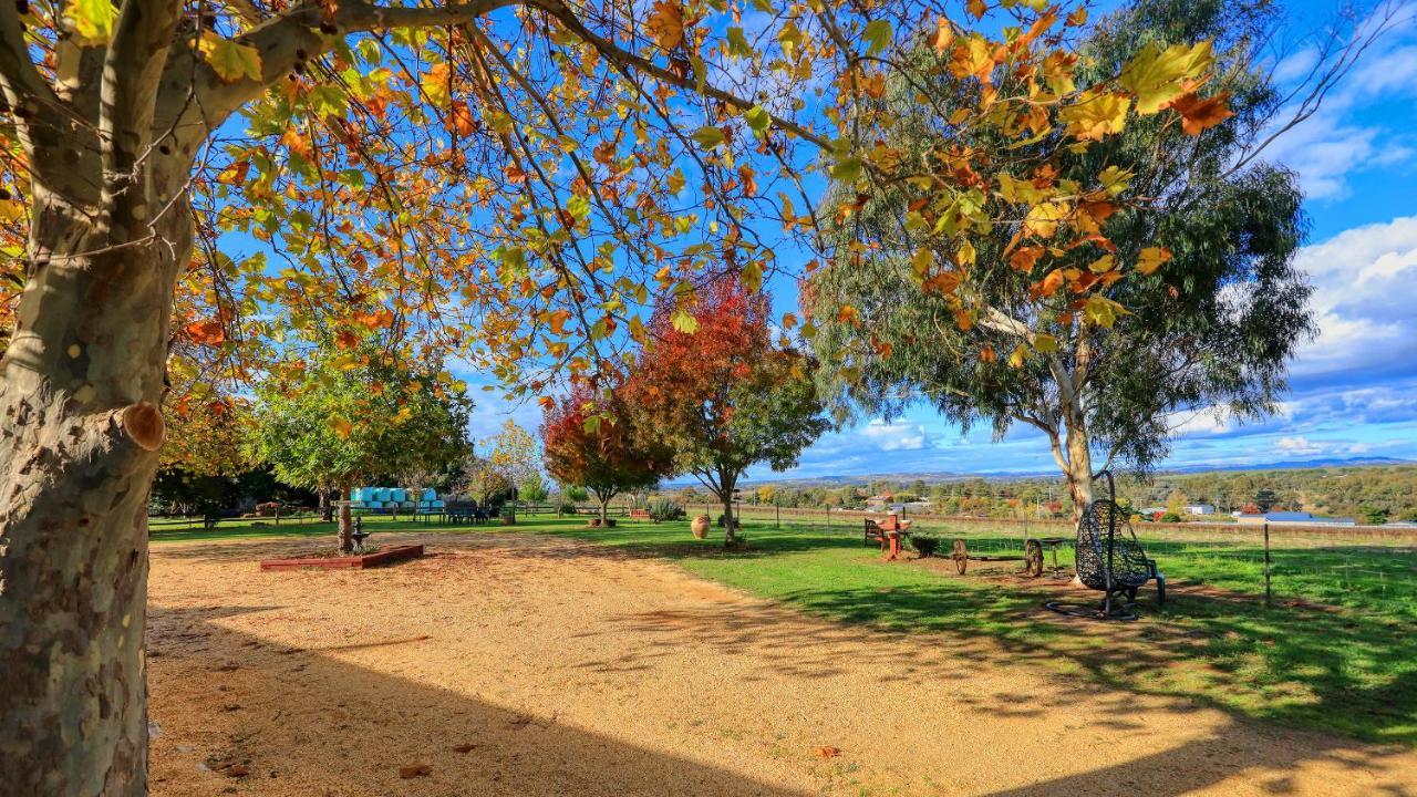 The Vineyard Motel Cowra Exteriér fotografie