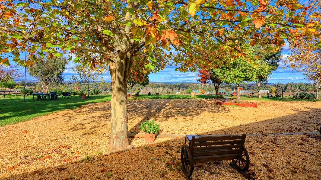 The Vineyard Motel Cowra Exteriér fotografie