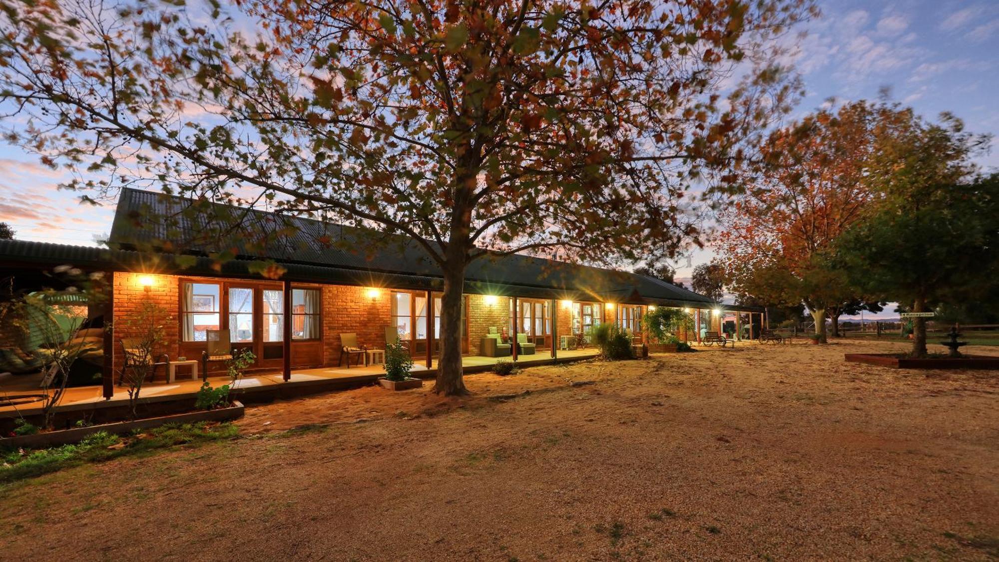 The Vineyard Motel Cowra Exteriér fotografie
