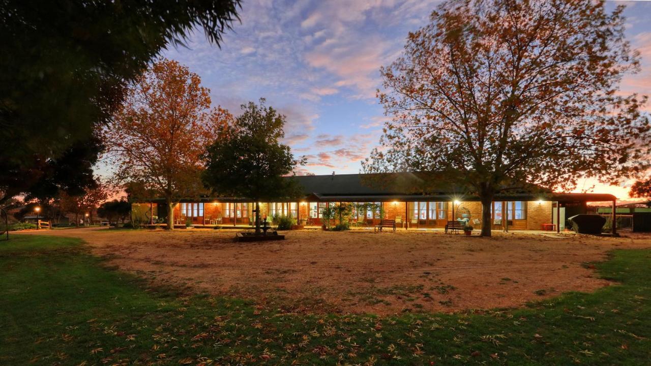 The Vineyard Motel Cowra Exteriér fotografie