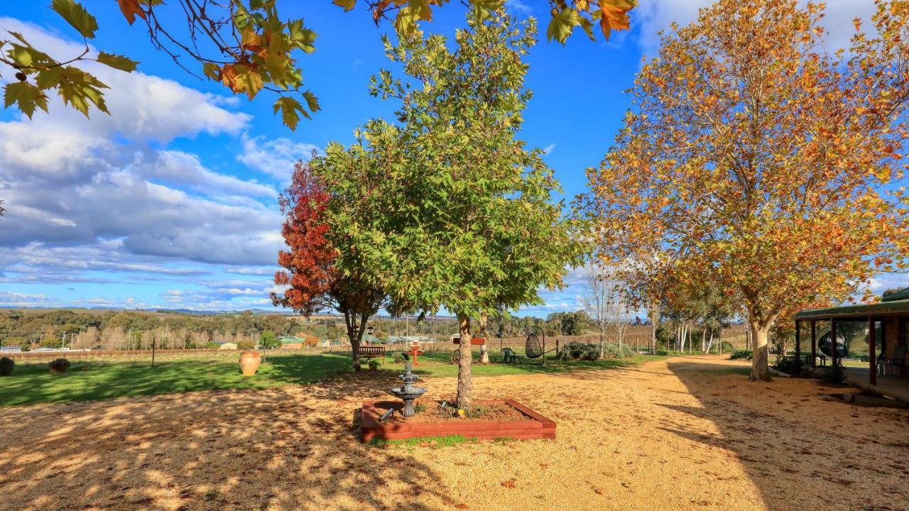 The Vineyard Motel Cowra Exteriér fotografie
