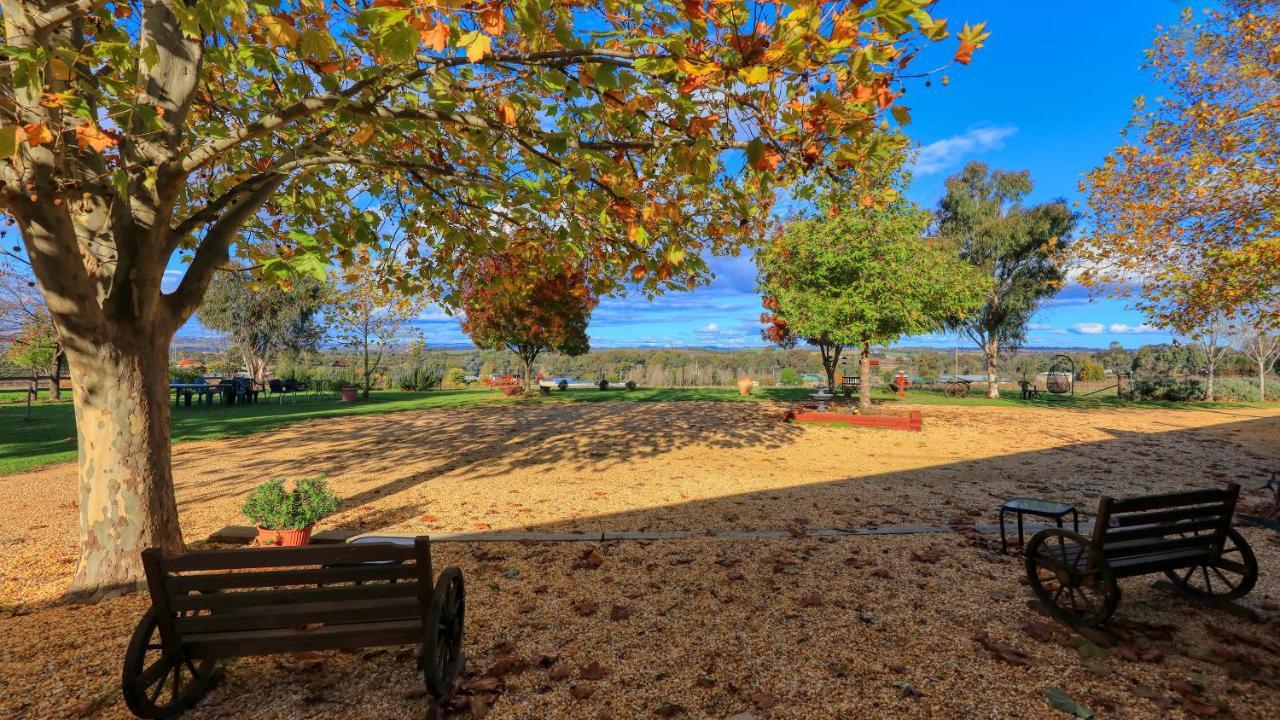 The Vineyard Motel Cowra Exteriér fotografie
