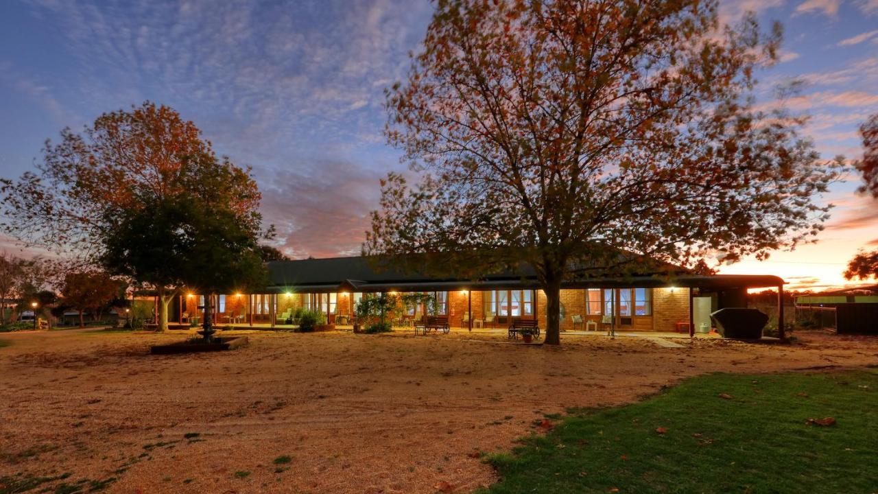 The Vineyard Motel Cowra Exteriér fotografie