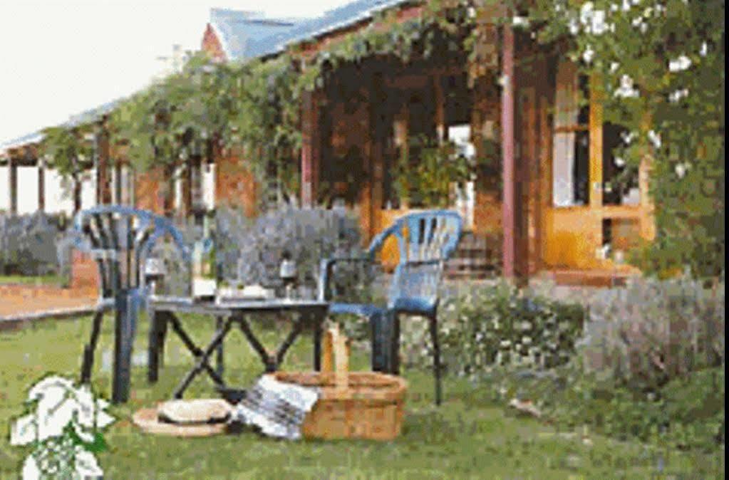 The Vineyard Motel Cowra Exteriér fotografie